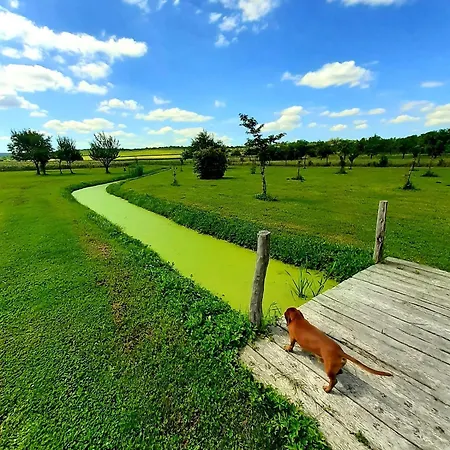 A Chatový Camp U Np Podyjí Penzion Havraníky