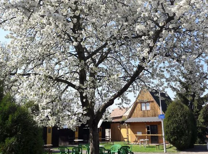 A Chatovy Camp U Np Podyji